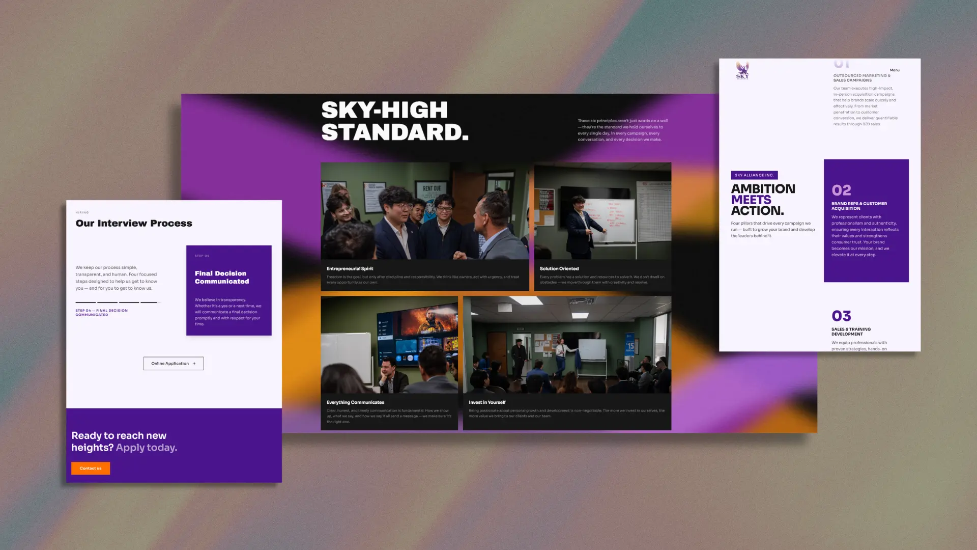 Sky Alliance core programs overview section