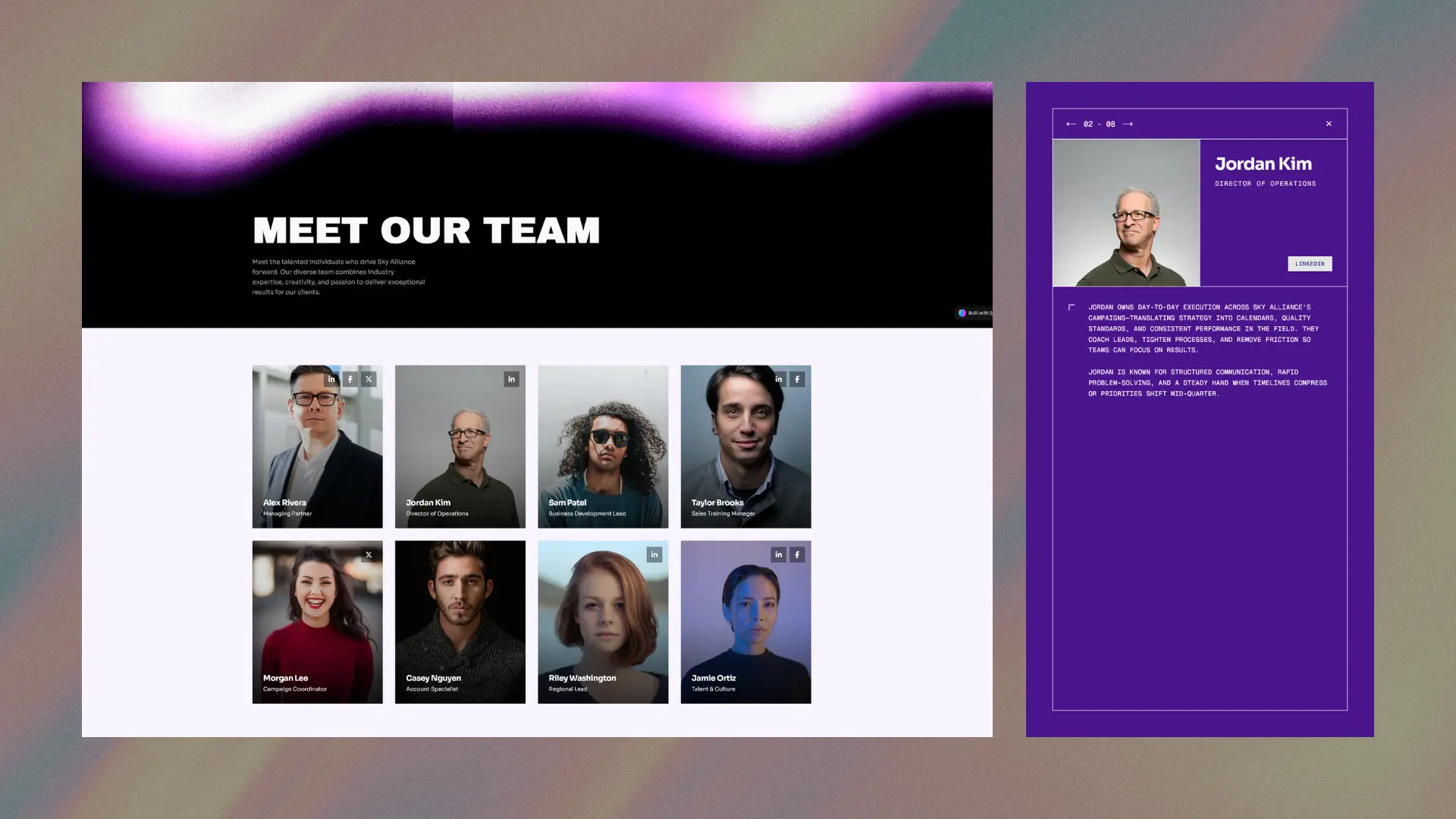 Sky Alliance team section